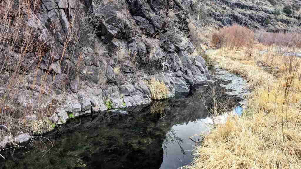 Middle Fork Hot Springs New Mexico