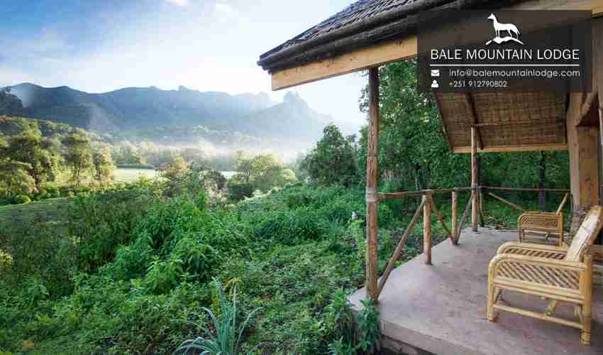 Most Beautiful Places in Ethiopia: Ultimate Travel Guide 24 where to stay in ethiopia