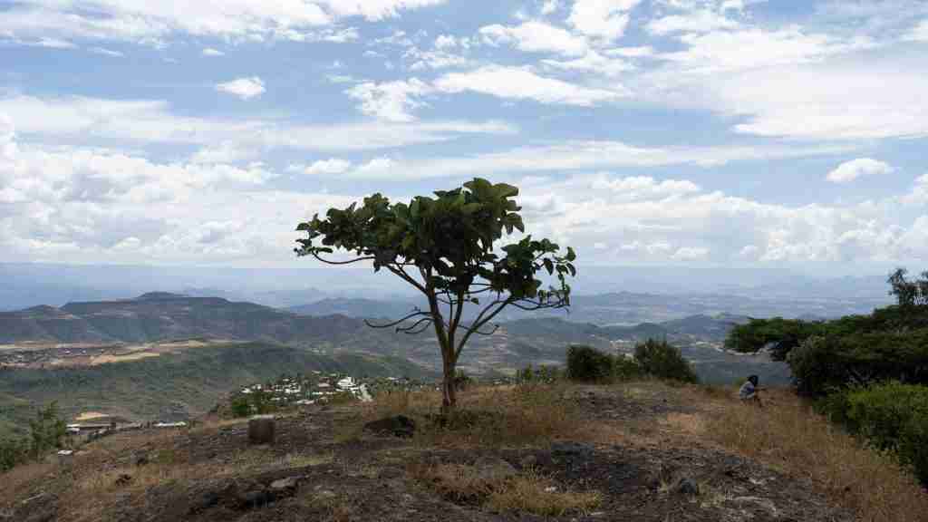 Best time of year to travel to ethiopia