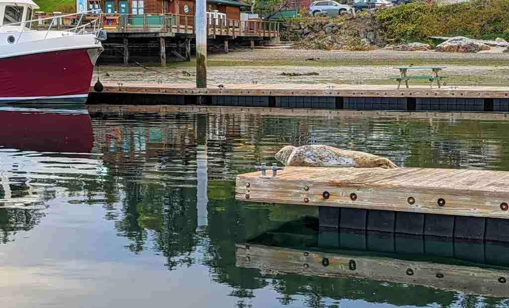 San Juan Islands Sailing Guide: Ultimate 10-Day Itinerary 27 San Juan Sailing Guide Orcas Island